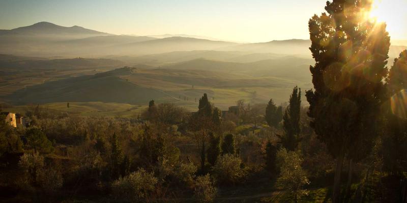 2024年主流手机CMOS传感器横评：从索尼IMX989到豪威OV50H，谁决定了拍照上限？