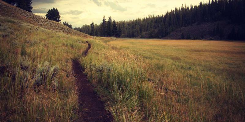 NAS搭建全攻略：从家庭影音库到个人云盘，硬件配置与软件生态深度解析