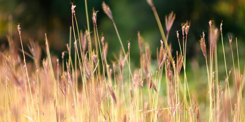 NAS私有云搭建全攻略：从数据安全到家庭影音中心 | JS数码电脑配件与耳机推荐