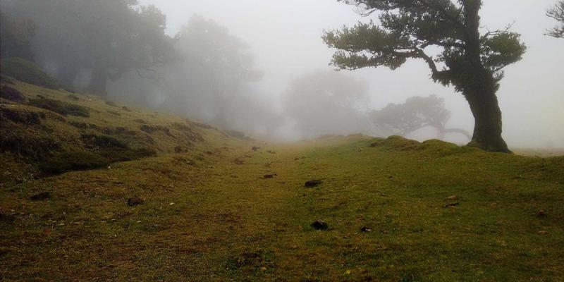 安卓旗舰SoC能效比年终盘点：骁龙8 Gen 3、天玑9300与Exynos 2400，谁才是你的数码搭档？