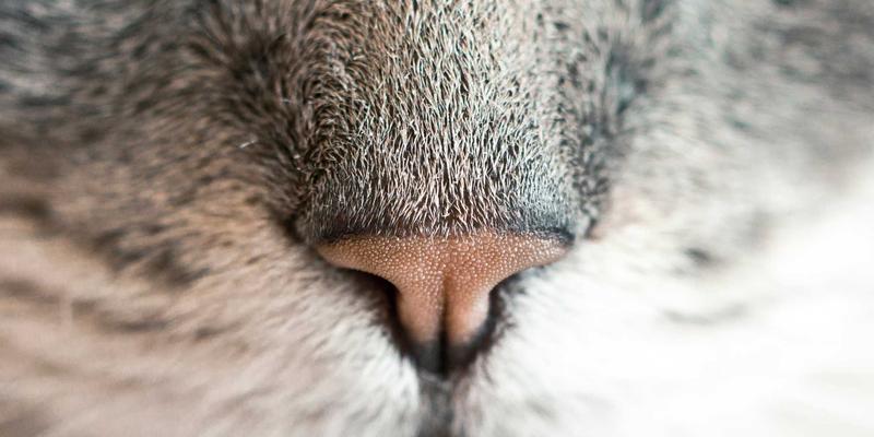 2024年数码商城耳机选购全攻略：专业评测与高性价比推荐