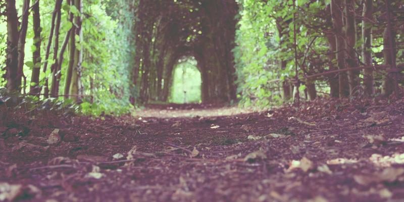 专业数码评测如何帮你避坑？电脑配件与手机选购的三大核心价值