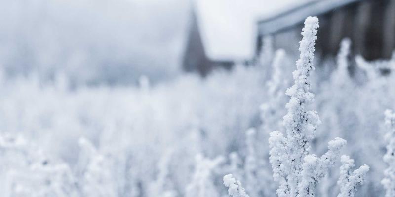 数码评测4：旗舰手机、降噪耳机与3C配件全解析，打造你的高效数字生活