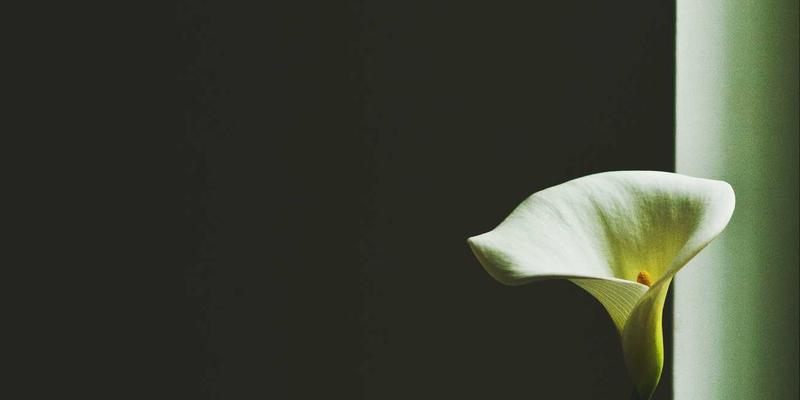 数码评测91：年度耳机与电脑配件精选指南 | 一站式数码商城选购攻略