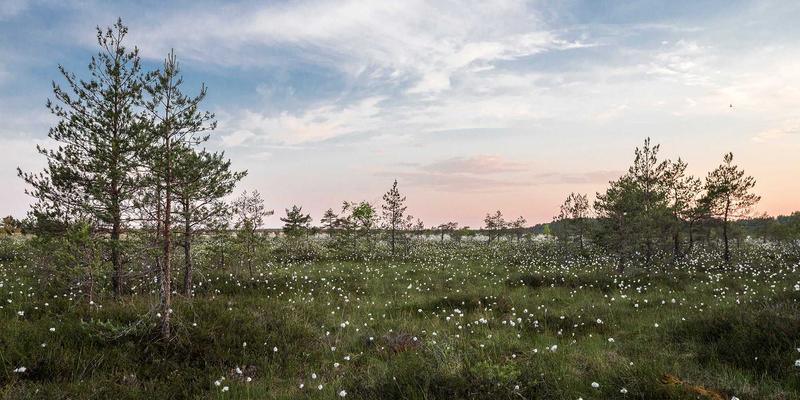 数码评测97 | 电脑配件选购指南与高性价比耳机推荐，数码商城这样逛最划算