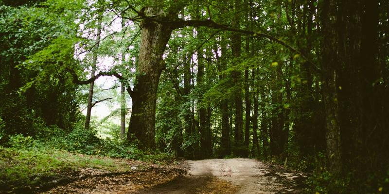 数码评测怎么用？从手机评测到选购决策，JS数码等商城实战指南